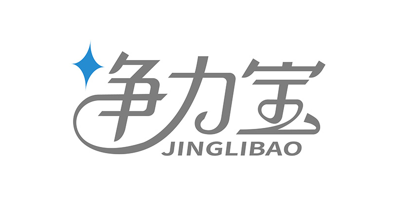 净力宝logo设计